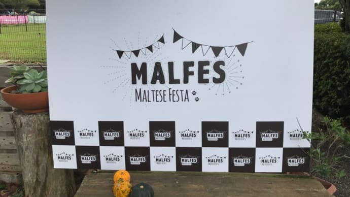 マルフェス2020 レポート