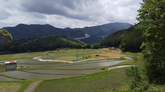 西山の棚田風景