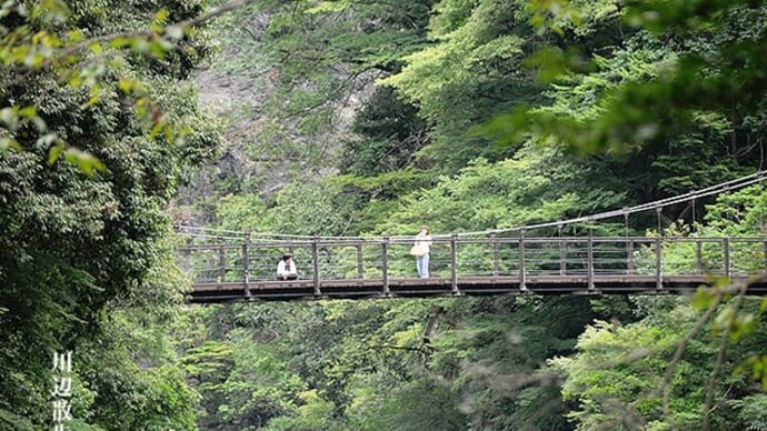 川辺散歩。