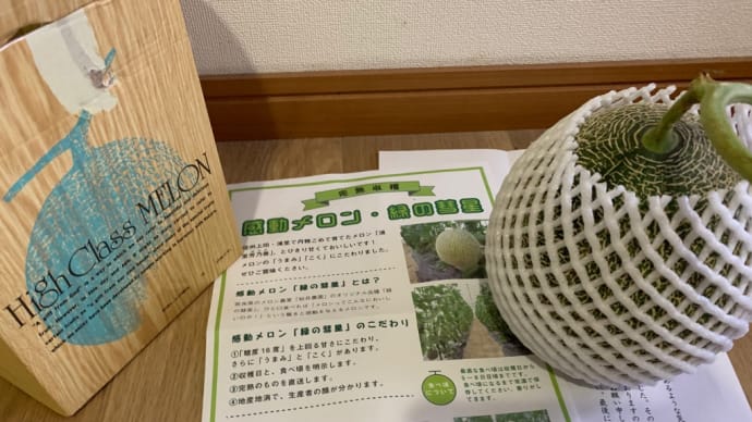 今が食べ頃メロン