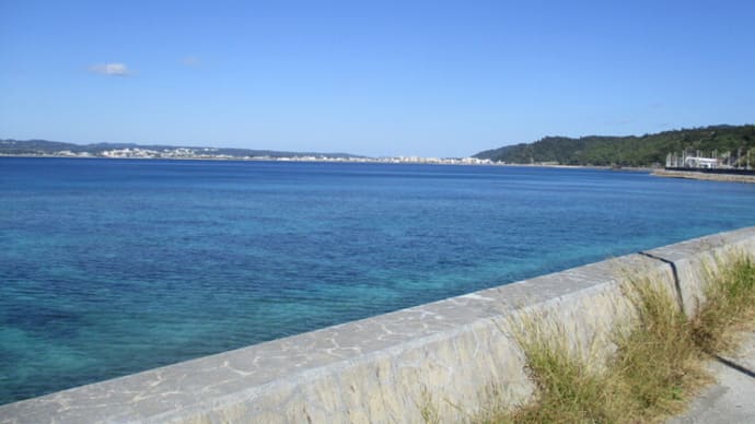 海外ではクルマが最も危険