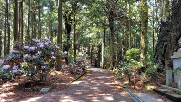 太龍寺山登る