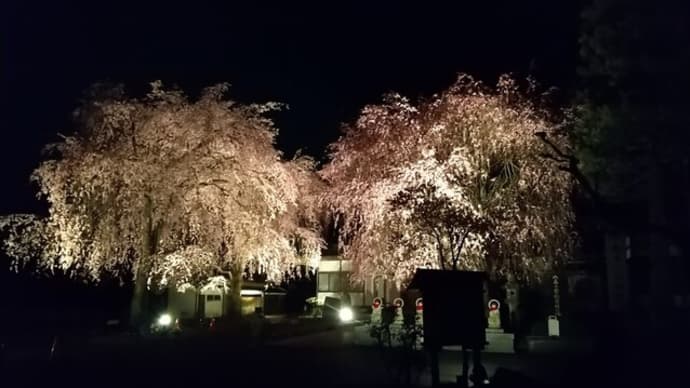 栃木県の寺院 日光市大桑町 法蔵寺