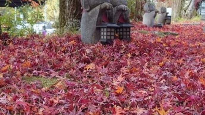 法界院~2024年12月7日