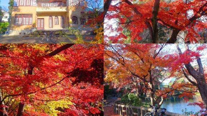「紅葉かつ散る」武蔵野