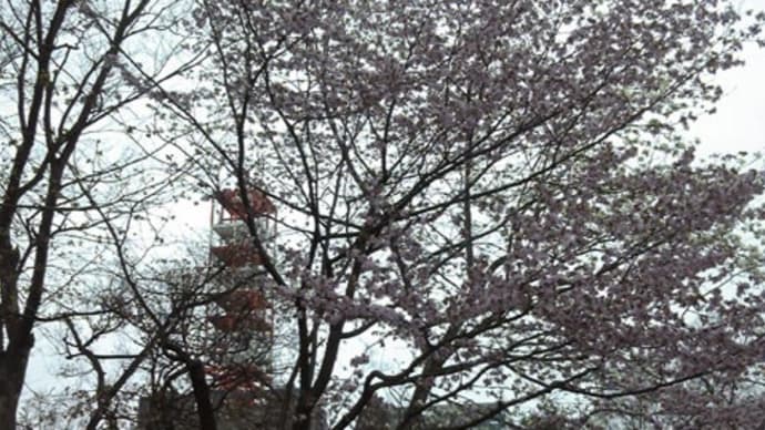 札幌市 野外彫刻 大通公園