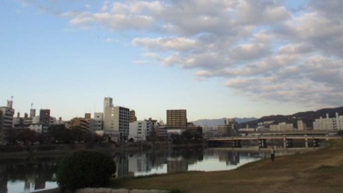 リバーサイドの猫ちゃんたち・・・地域ネコたちは元気に生きていました 何とか冬を乗り越えてもらいたいものです