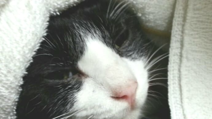 毛皮を着てても寒がりなの