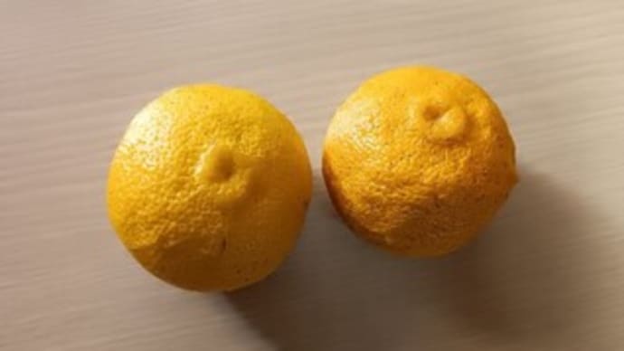 土日の予定は?