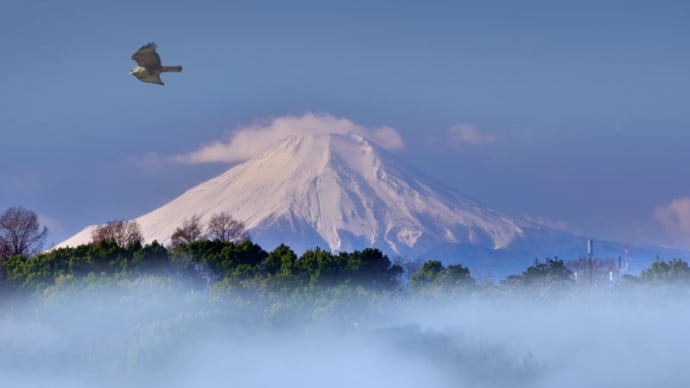 心に残る情景「風景」見沼芝川沿いから冬の富士山を望む