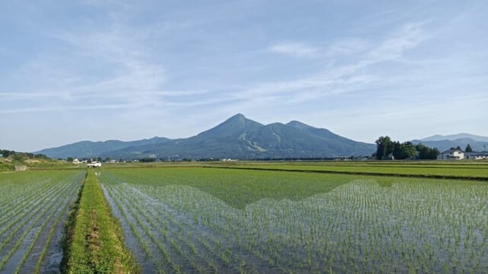 ２０２４　米づくり　６月９日