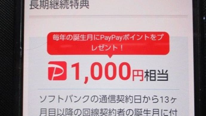 ポイントゲットしても、そのあとが・・・