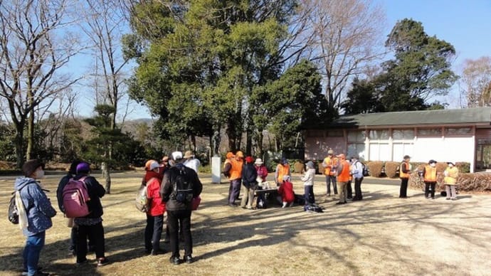 観梅ウォーク(大心苑)<3月1日(土)>