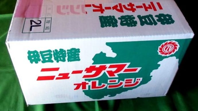 ニューサマーが届くと、南伊豆は初夏