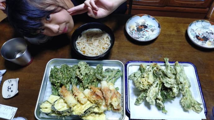 天ぷらに稲庭うどん 最高!!