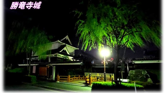 長岡京市の桜の🌸夜インスタスポット・・・静かな雰囲気だけど良い写真が・・・
