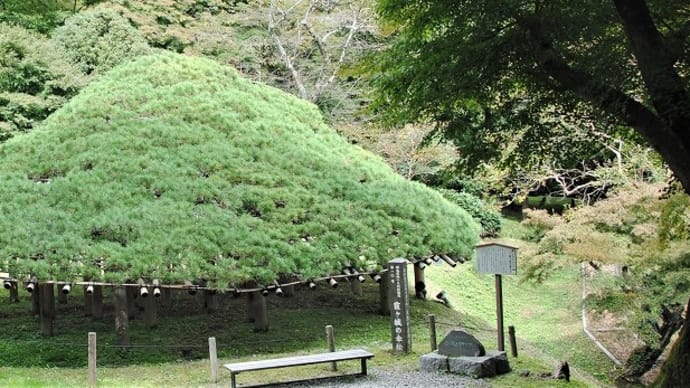 母成峠から二本松市街へ