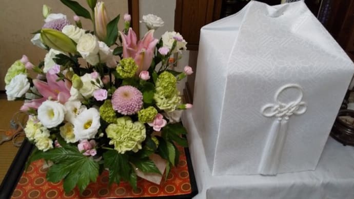 お花屋さんからお花をいただきました(6/11)