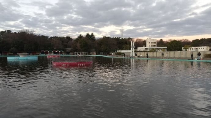 1/2さいたま水上公園釣行