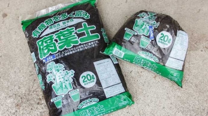 ガッテン! の発酵腐葉土...仕込んでみた!