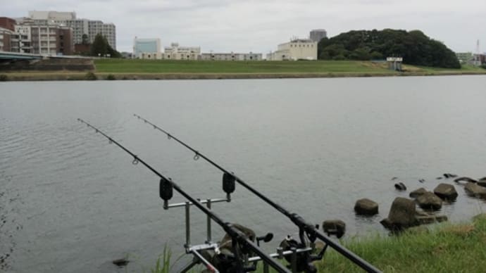 10月21日の鯉釣り