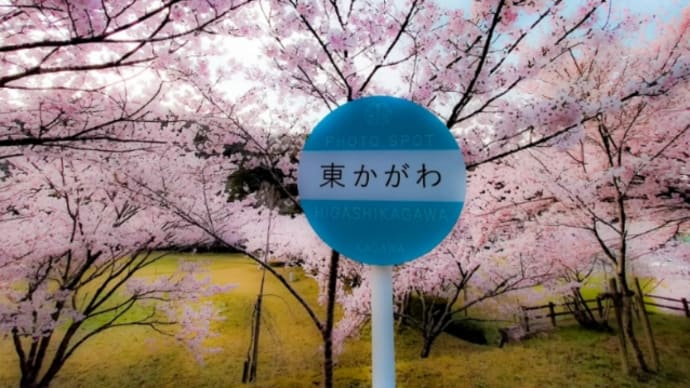 最高の…。