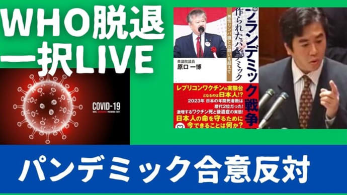 💉緊急LIVE 議連アドバイザーの方々と。WHOパンデミック合意、IHRの危険性。日本もWHO脱退一択。健全な新国際保健組織へ。