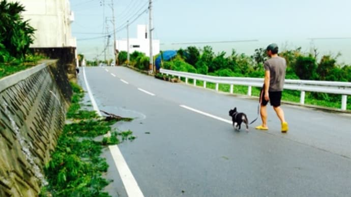 巨大台風の去った後•続編