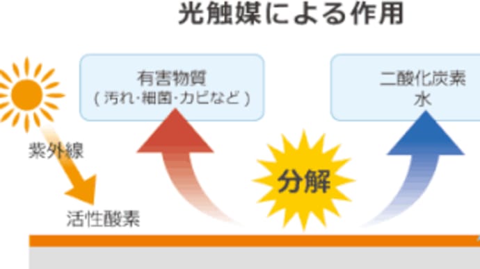新型コロナウイルス対策に効果が期待!