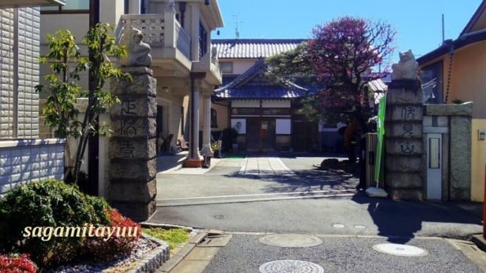 松原寺町の一寺「伏見山正法寺」