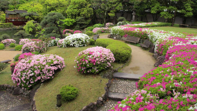 相楽園・兵庫県神戸市(2014年5月)