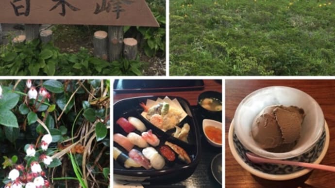 白木峰を目指して……