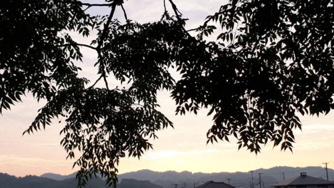 夕方の散歩