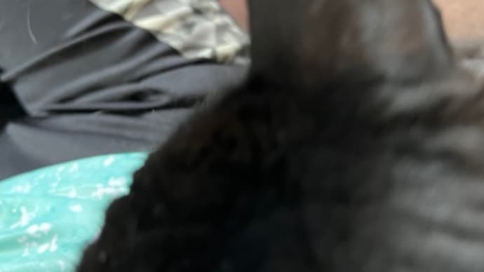 寝るんですな