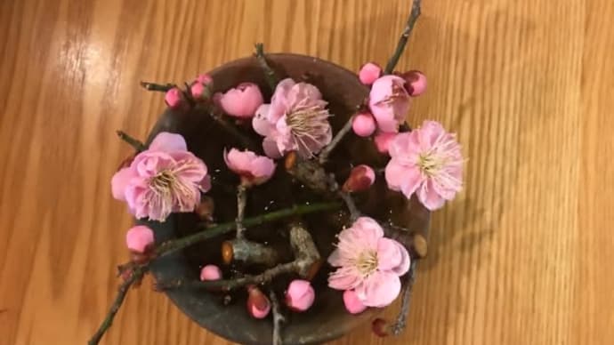 久々の腰痛は、自己手当て・・・明日は砂蒸し温泉♨️かなぁ