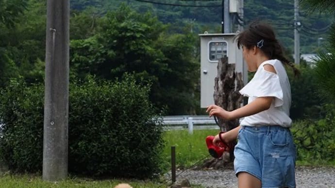 嬉しそうなコマちゃん