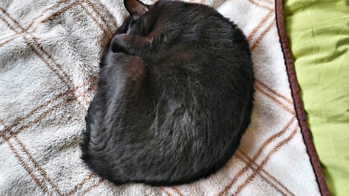 ぐっすり