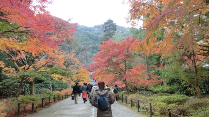 京都の紅葉を見に（嵐山編）