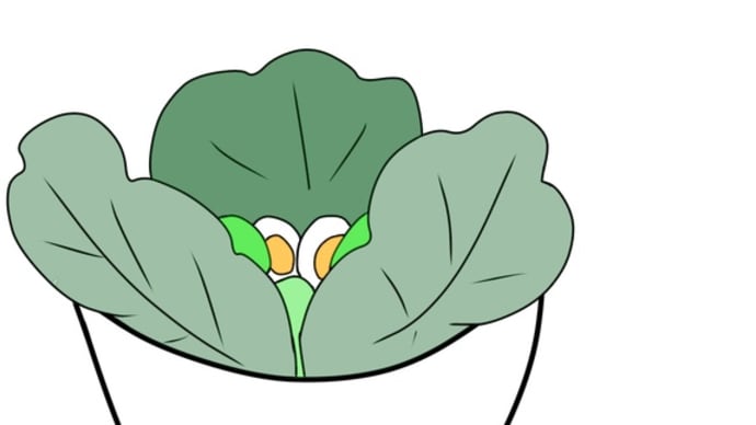 料理の失敗談Part2