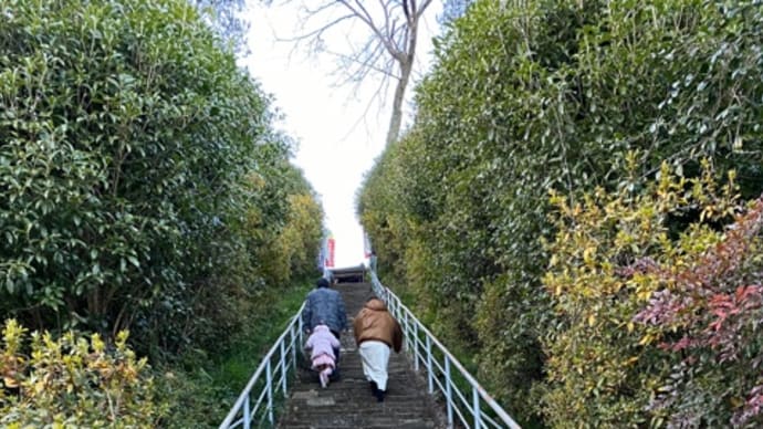 秩父札所24番法泉寺へ初参りに