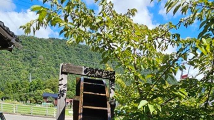 鳥越でお蕎麦