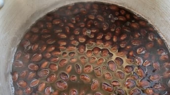 ワンコの思い出