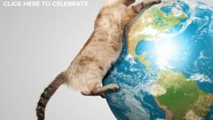 世界猫の日