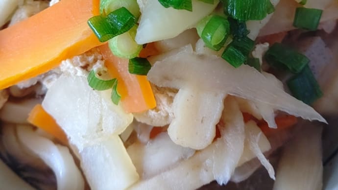 大晦日 お昼ごはんは しっぽくうどん(^.^)