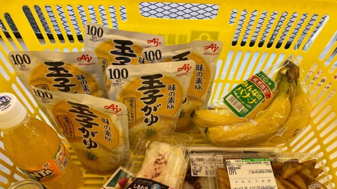 夕食の買い出しと野良猫顛末