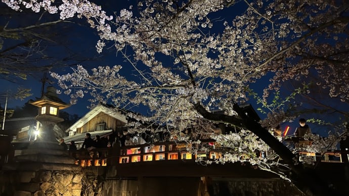 近江八幡「八幡堀の夜桜」を見に行く
