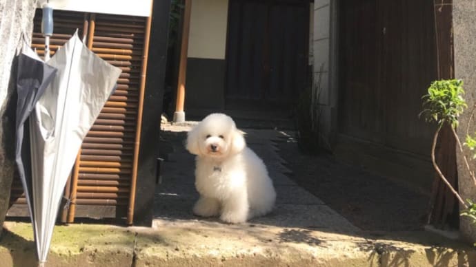僕坂#8