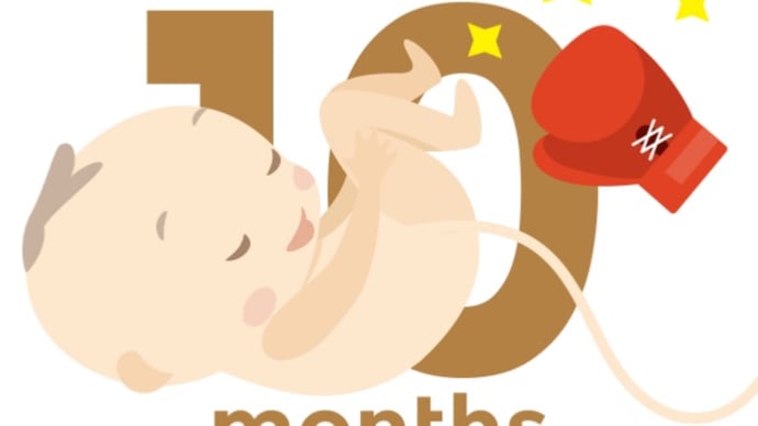 10ヶ月目突入