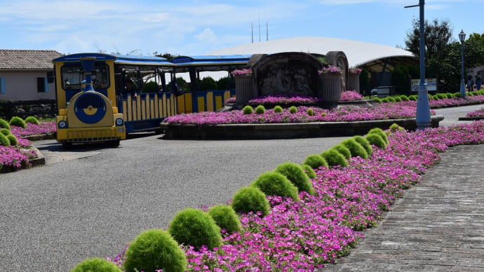 ひまわり狩り 神奈川県横須賀市 長井海の手公園 ソレイユの丘(4)ソレイユガーデン ランタナと蝶