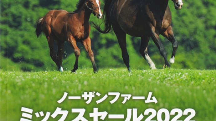 【ノーザンファーム ミックスセール2022】の「上場馬名簿」が発行